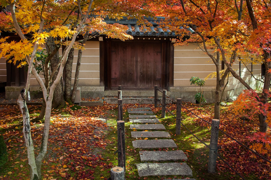 秘密花園