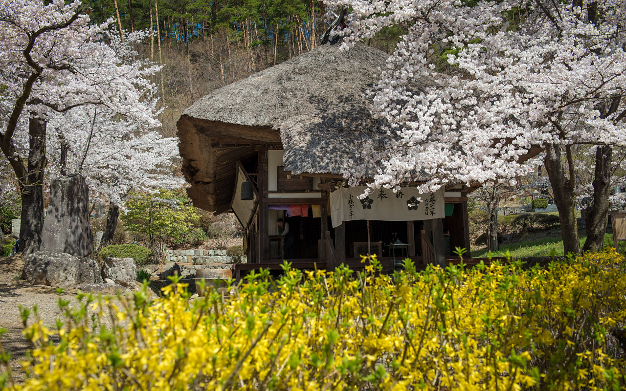茅屋