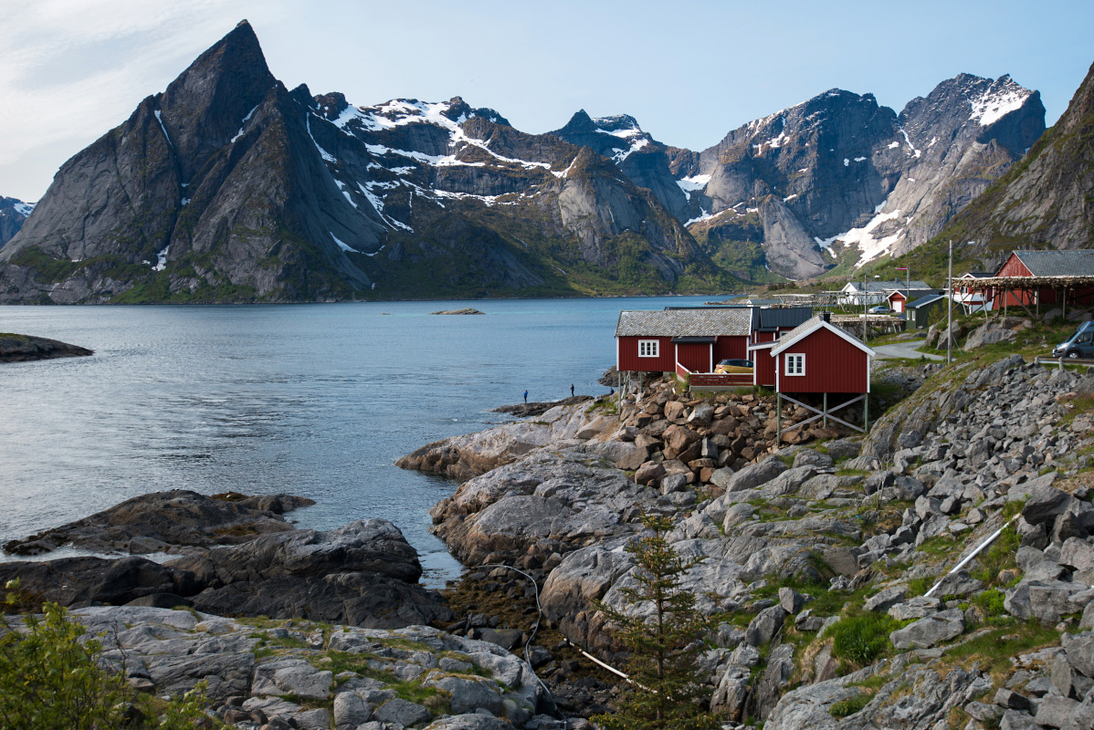 Reine