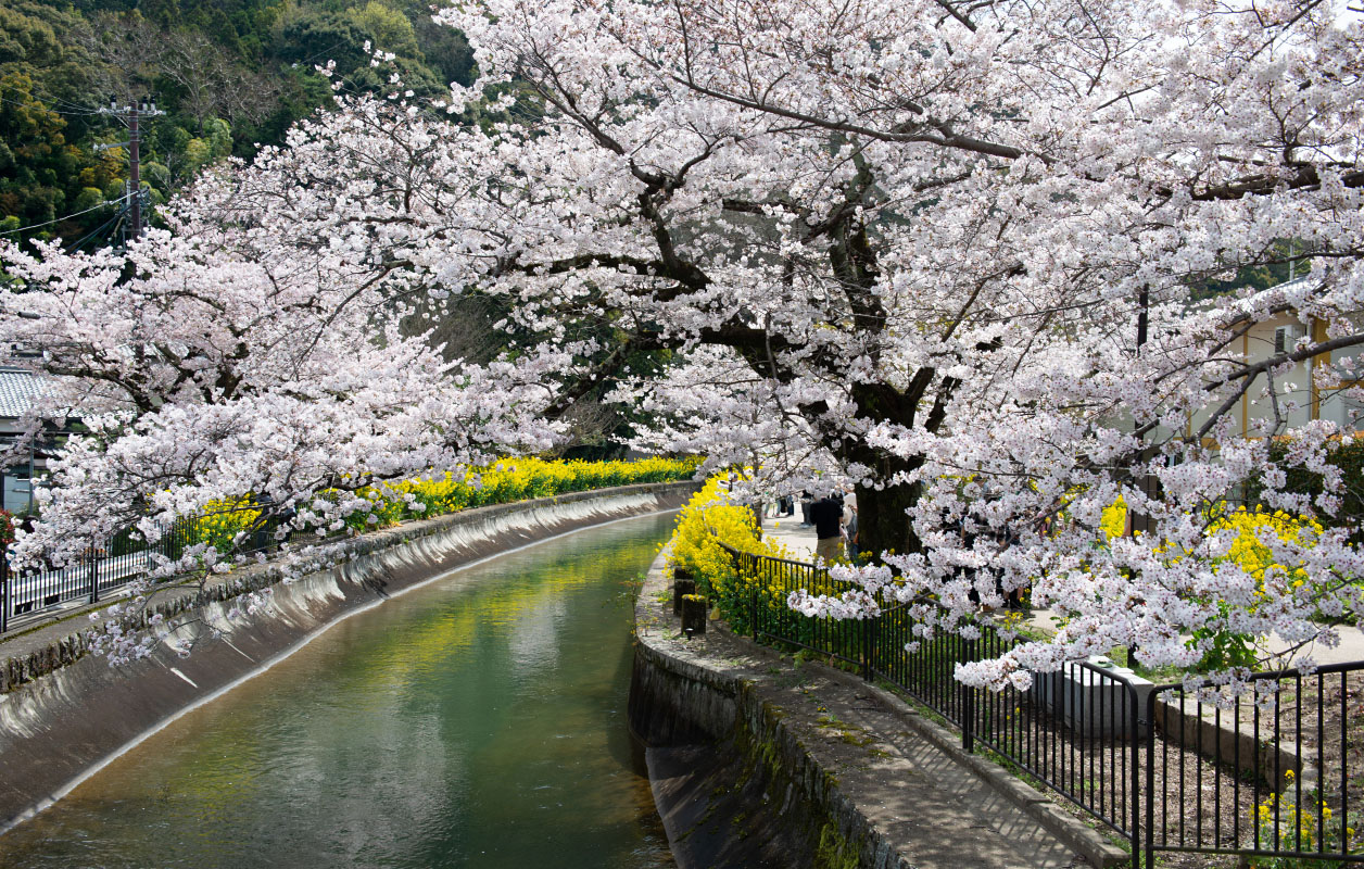 山科疏水