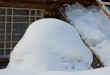 雪蘑菇