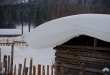 雪糕