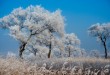 霧淞