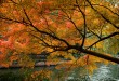 2009秋末之旅~杭州西湖