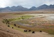 2010天地有大美西藏之旅~當雄、納木錯篇