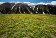 2011新疆~行走天山北麓(2)