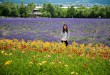 老婆與花田