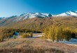 喀納斯山林