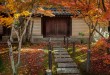秘密花園