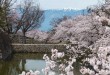 江山如此多驕