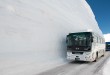 雪牆