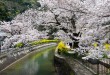 山科疏水